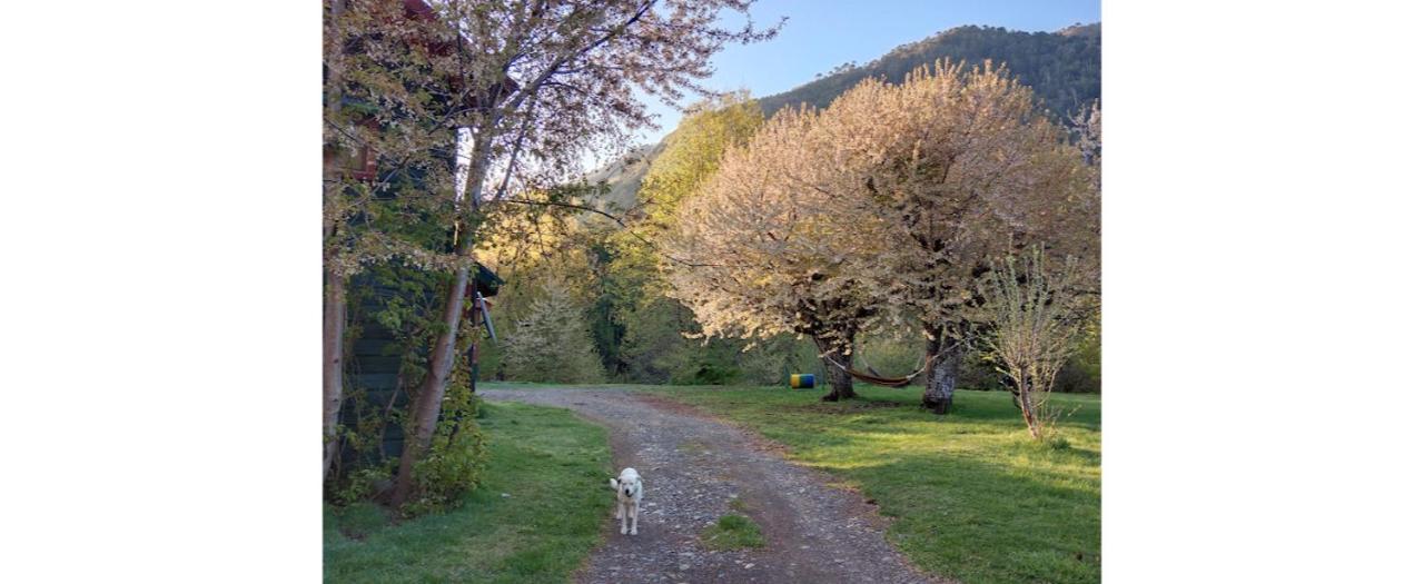 Casaverde Hostal Ecologico Malalcahuello Zewnętrze zdjęcie